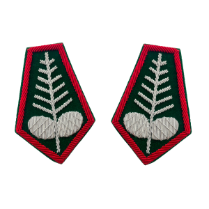 Patki PZŁ łowczy okręgowy
